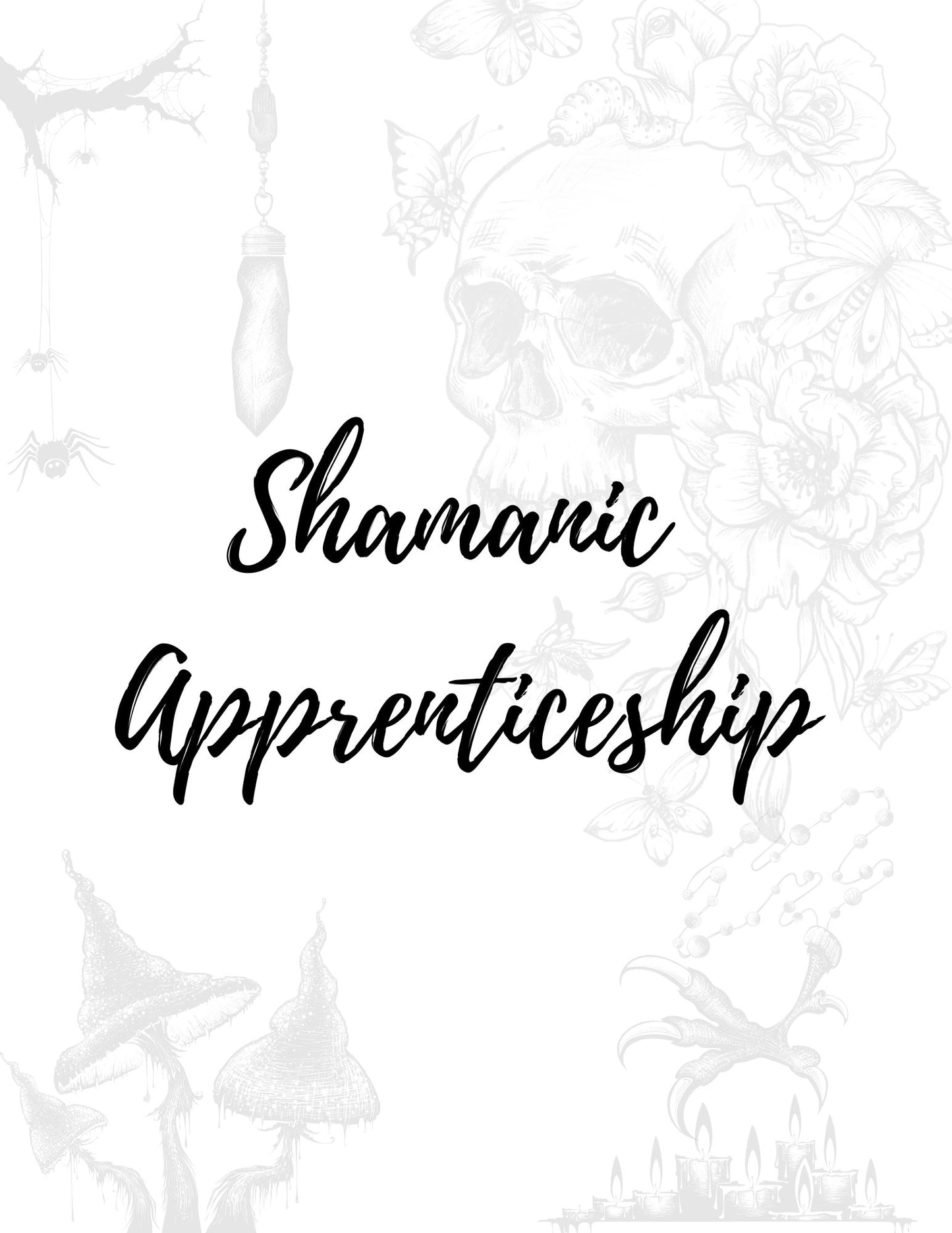 Shamanic Apprenticeship