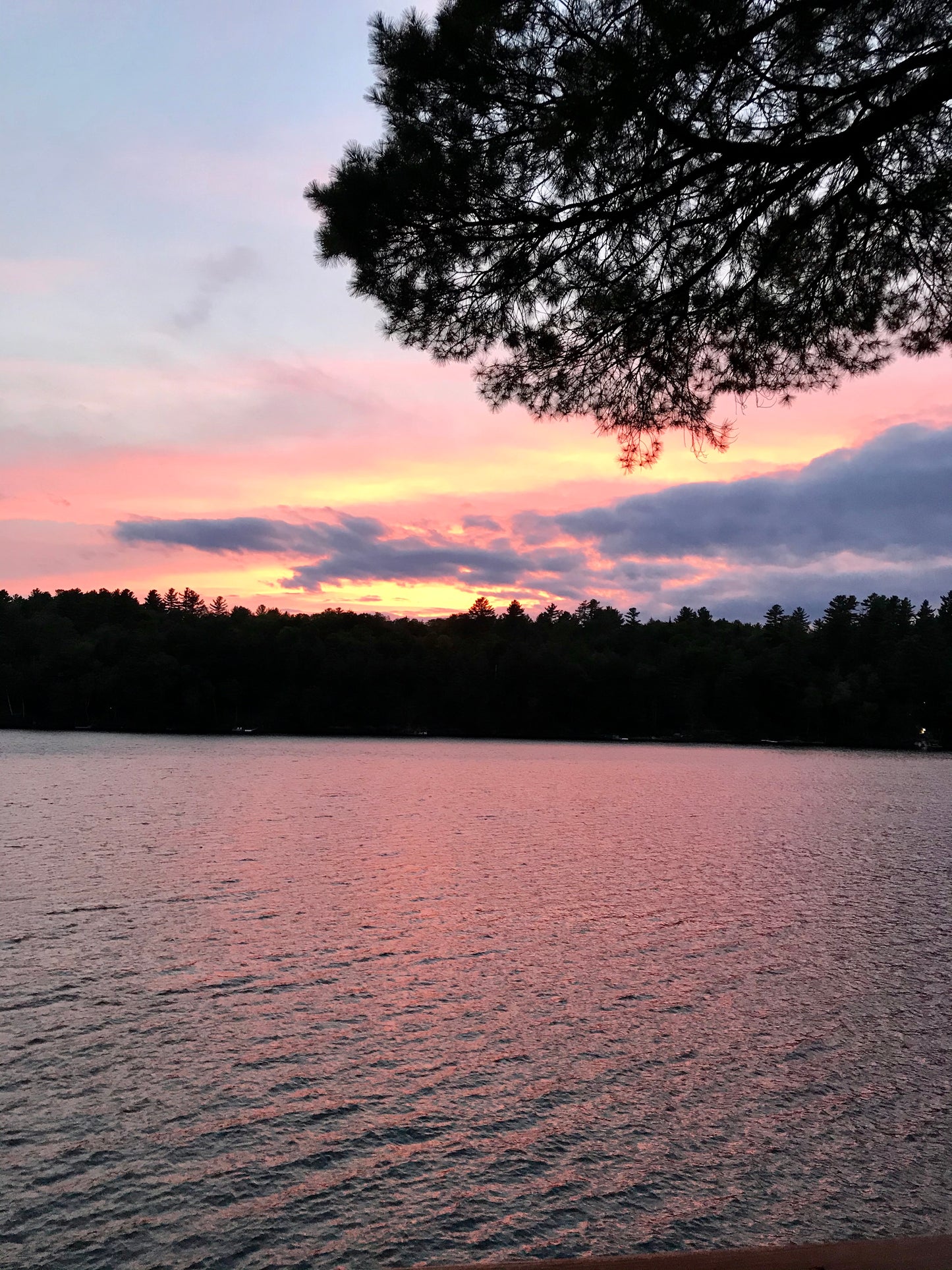 Align & Awaken: Igniting Your Shadowlight for Spiritual Growth.