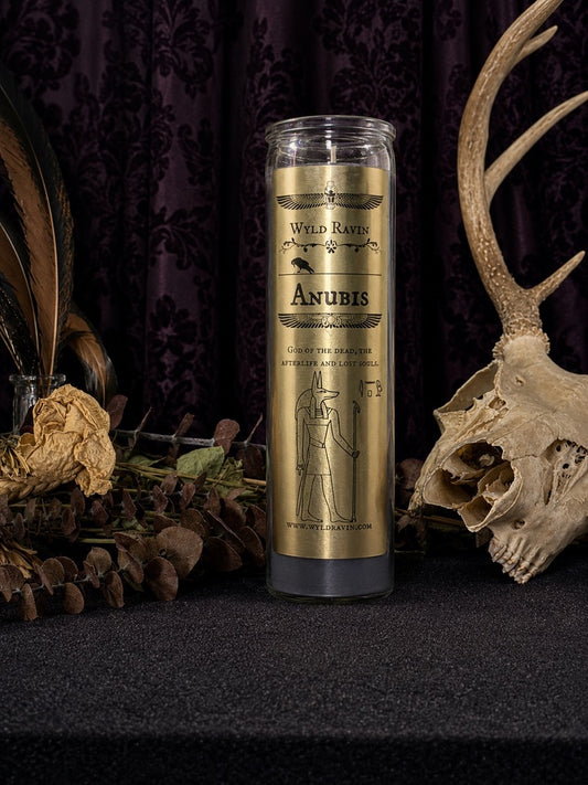 Anubis -  The Divine Collection